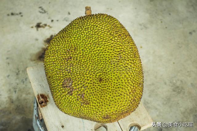 菠萝蜜怎么挑选怎么吃，菠萝蜜怎么挑好吃（热带水果皇后菠萝蜜）