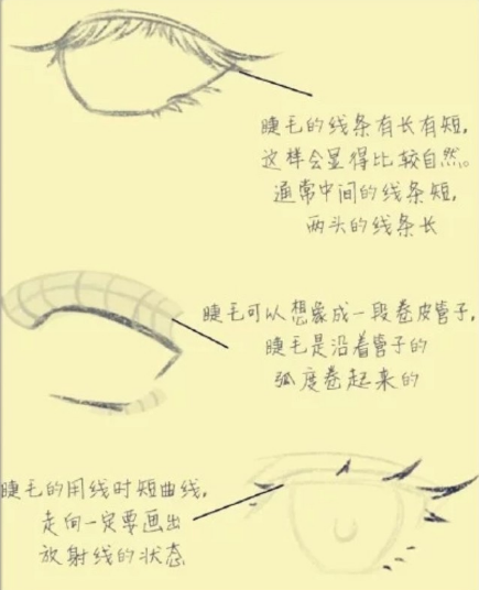 快来学习定制专属睫毛画法，怎么画睫毛（眼睫毛与双眼皮的画法技巧）