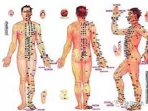 十二经络循行路线，十二经脉循行走向与交接规律图解（<十分钟教你终生不忘）