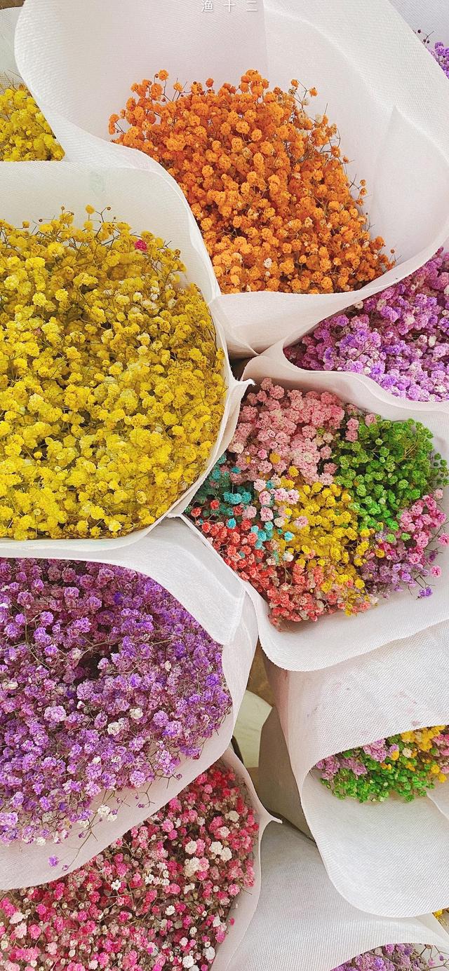 超级好看的图片~喜欢求关注求带走..，给个好看的图片（精选壁纸第<166>期）