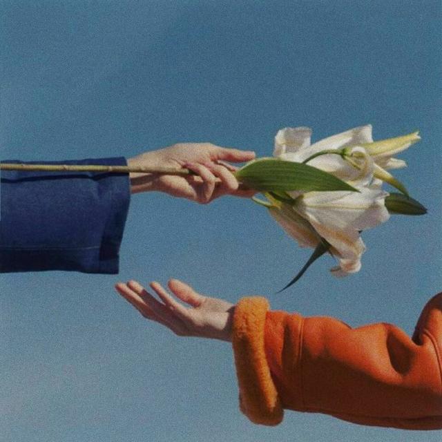 失望，微信头像，失望（今日头像丨每一个失望的人都该有一个新的开始）