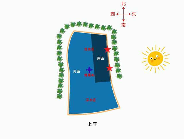 深度解析黑坑钓鱼技术，黑坑选择钓位的高级技巧