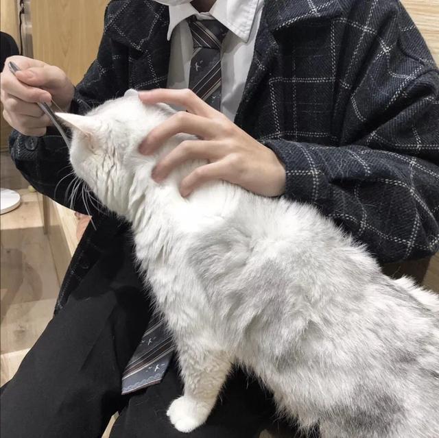 林知晚  个性超帅气男头，微信头像，林知晚  个性超帅气男头（超多个性、帅气男生头像任你选）