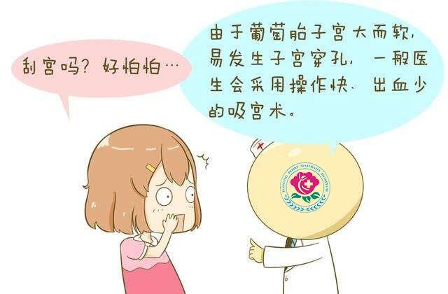 什么是葡萄胎，什么是葡萄胎图片 早期症状（准妈妈怎样尽早发现）