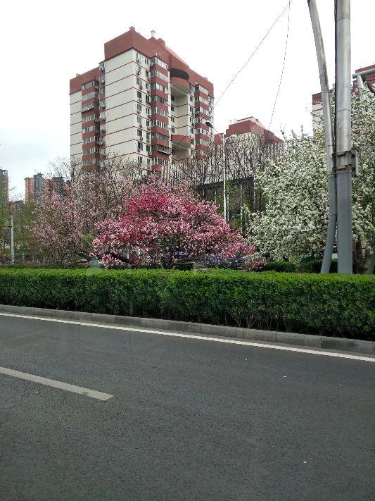 一次尴尬的面基――不要轻易的面基