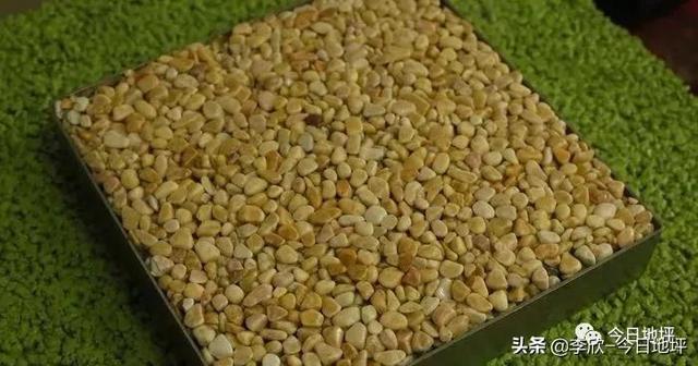 露骨料混凝土施工方法，混凝土露骨料的施工方案（不一样的露骨料透水混凝土地坪）