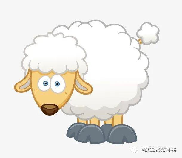 梦见羊肉是什么预示，梦到羊肉什么意思（梦见一只羊）