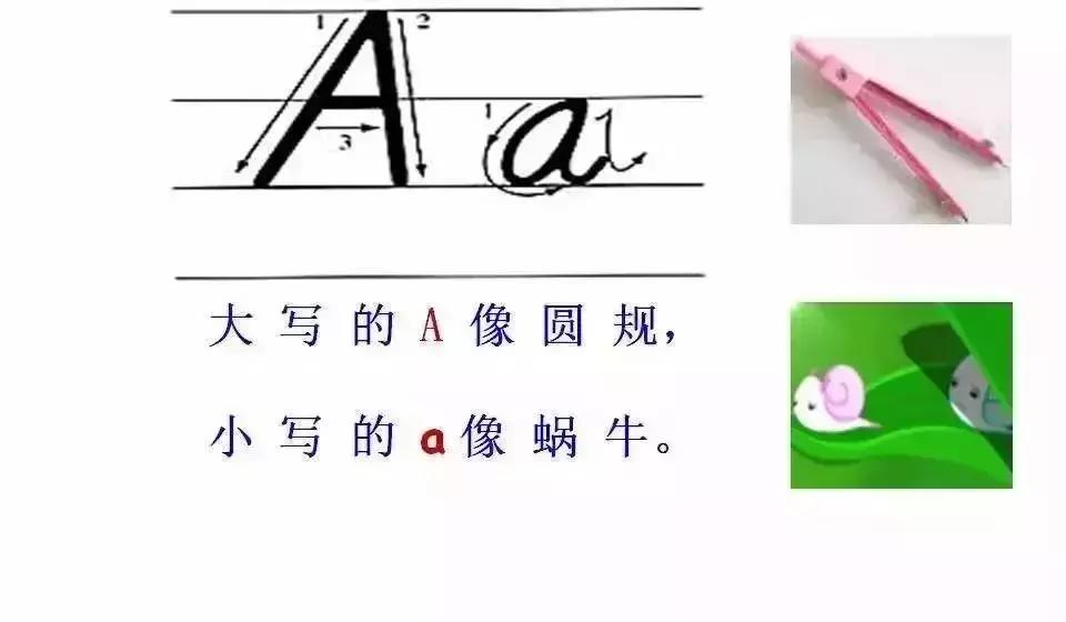 语文字母表大小写的正确书写格式，26个字母书写顺序笔画