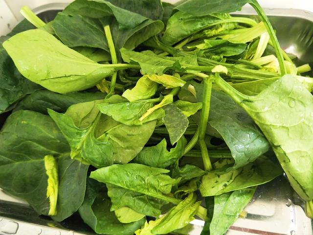菠菜为什么会苦，菠菜炒完后发苦什么原因啊（经常又苦又涩）