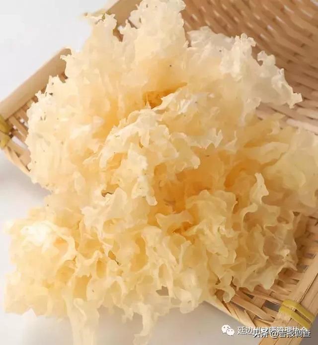 白色木耳的功效与作用，别把白木耳当作普通的佐餐小菜