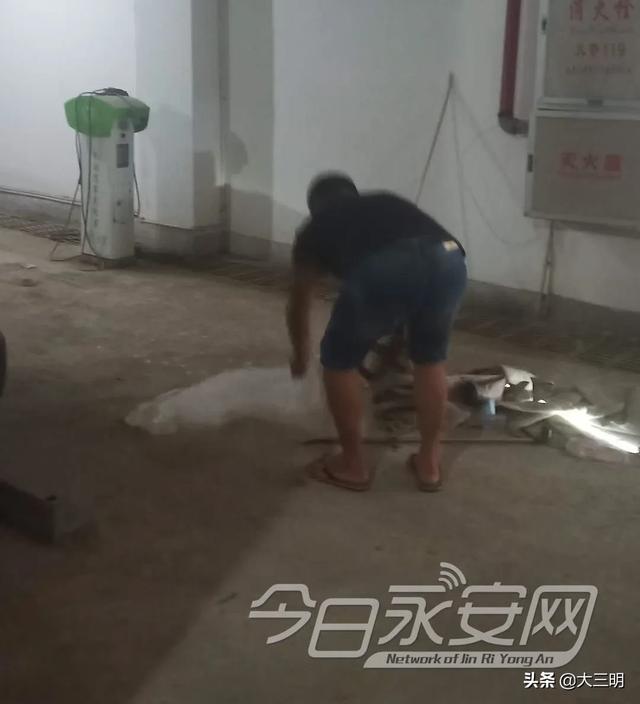 蛇的形态特征和生活习性，蛇的形态特点（永安人，蛇出没）