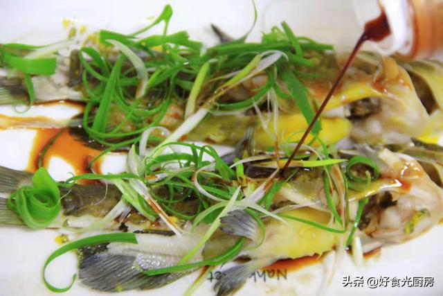 黄骨鱼是水黄蜂吗_黄蜂鱼跟黄骨鱼一样吗，黄骨鱼跟黄蜂鱼区别（这鱼小孩一餐能吃两条）