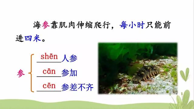  推怎么组词，推的组词（部编版三年级语文下册课文23《海底世界》知识点+图文解读） 