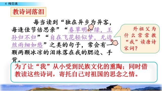梅花魂的意思，部编版五年级下册第4课《梅花魂》图文讲解+知识点梳理