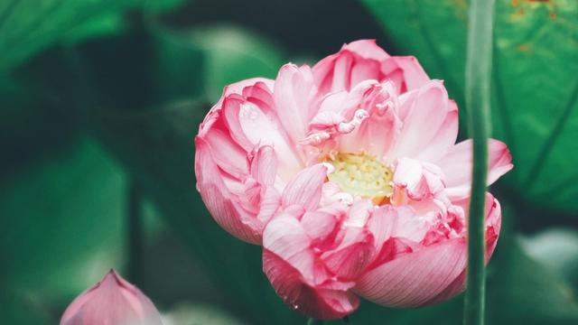 悟性高有灵气人的特点，悟性高有灵气人的女人八字（一点就通的星座）