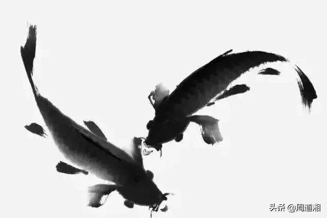 金鱼画法步骤图解,国画写意鲤鱼、金鱼的画法 金鱼画法步骤图解,国画写意鲤鱼、金鱼的画法