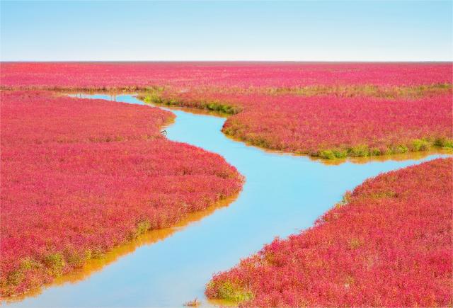凝望红海滩，凝望红海滩阅读及答案（潮涨潮落红海滩）