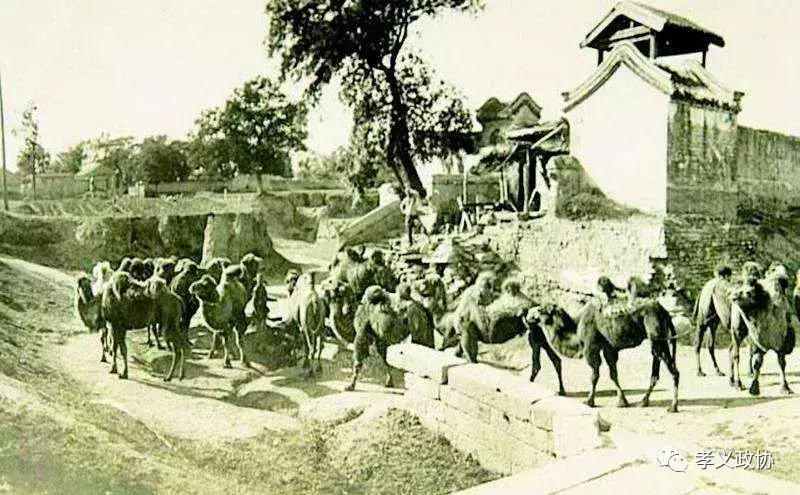 保利龙是什么，保利龙湾壹号（在内蒙的孝义南姚村晋商）