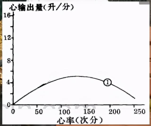 运动心率180危险吗，心率180危险吗（跑步锻炼15年）
