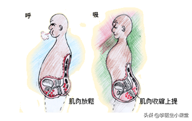 提肛运动怎么做才正确，痔疮提肛运动怎么做才正确（医生教你正确做法）