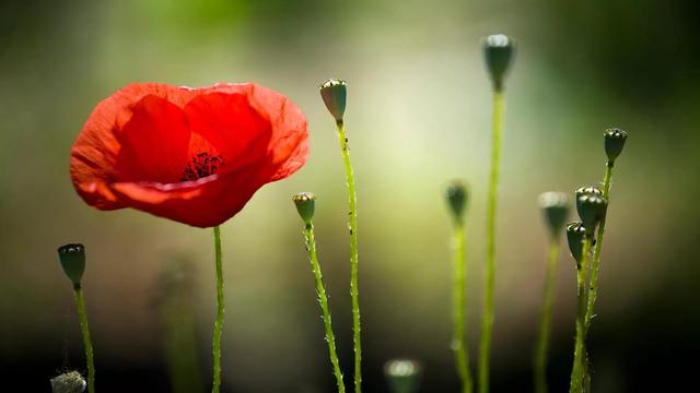 人生何必如初见，人生何必如初见是什么意思（人生何必如初见是什么意思啊）