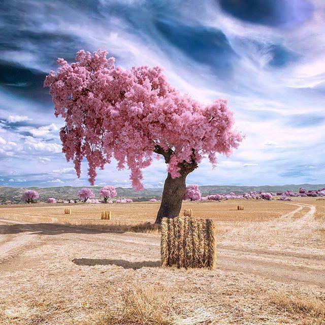 母亲节贺卡内容，生日贺卡制作简单漂亮（母亲节贺卡祝福语）