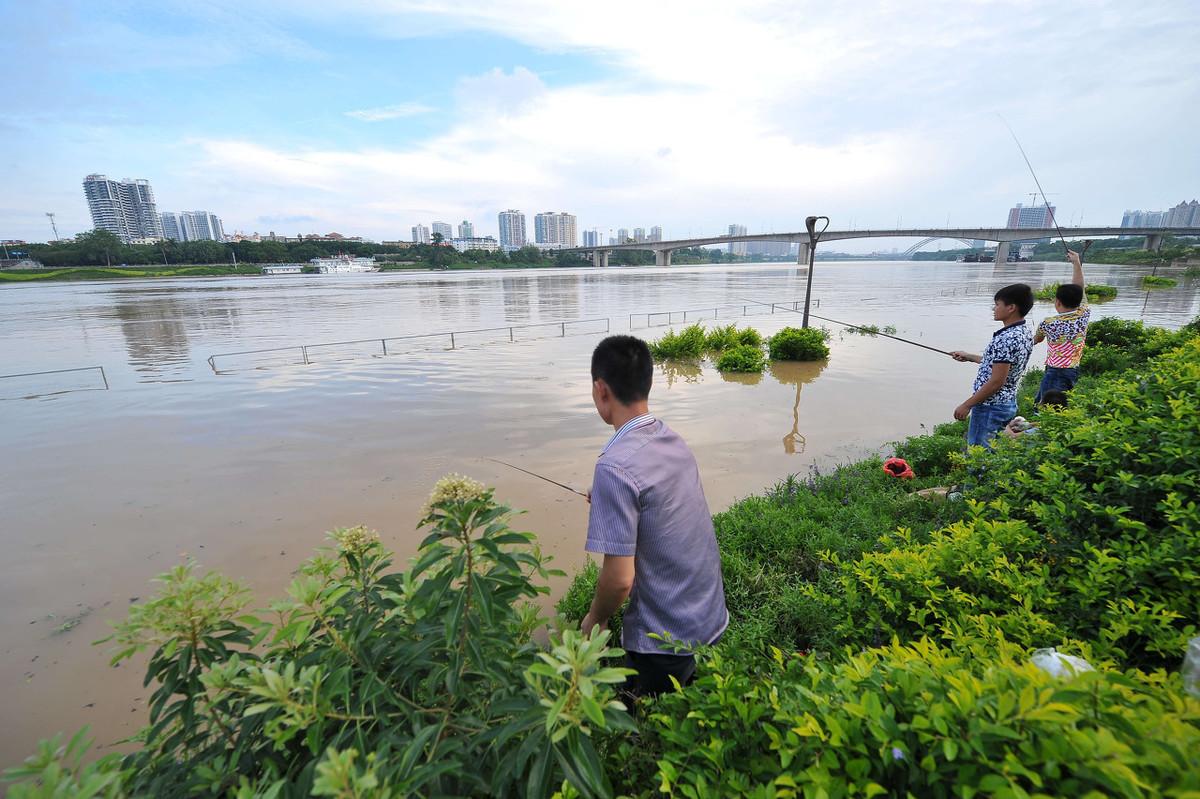 钓鱼天气预报：掌握最佳出钓时机与技巧，提升渔获成功率
