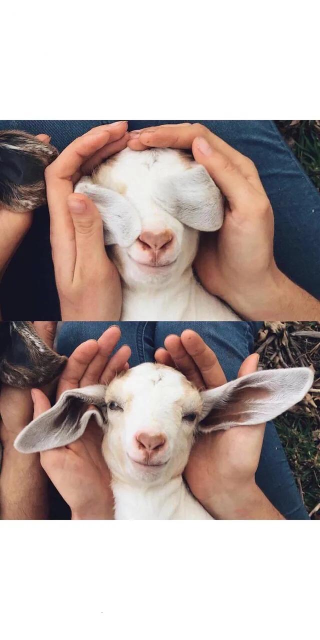 欧美 唯美，欧美唯美（欧美唯美小清新壁纸图片）