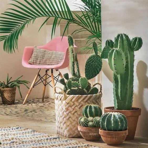 创意美术《仙人掌》教案，幼儿创意美术《仙人掌》（童小憬的绘画之旅，立体仙人掌）