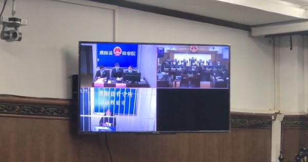 斑鸠是保护动物吗，斑鸠是几级保护动物（抓27只斑鸠，判拘4个月）