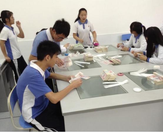 杭电会计为什么出名（会计）