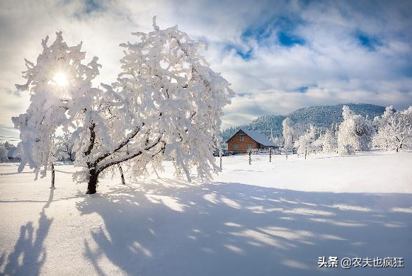 二九是什么意思，二九天是什么意思（九九比六月”啥意思）