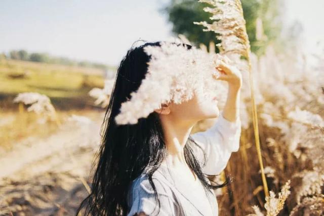 菲律宾长滩岛天气怎么样，菲律宾长滩岛介绍一下（一月份最值得去的旅行地）