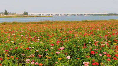 浮沱河在什么地方，滹沱河游玩攻略（——石家庄的母亲河）