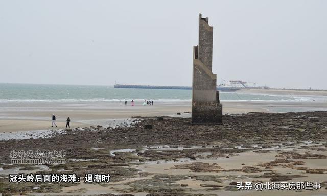 北海看潮汐表赶海，北海本地人外地人都需要的看海神器