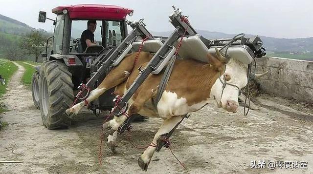 暖手宝里面是什么，暖手宝是什么成分（“网友什么都知道系列”）