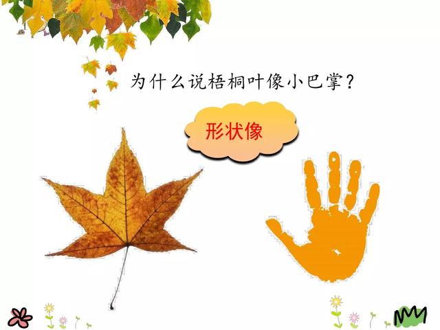 金黄的什么填词语，金黄的什么填空（部编版三年级语文上册第5课《铺满金色巴掌的水泥道》图文讲解）