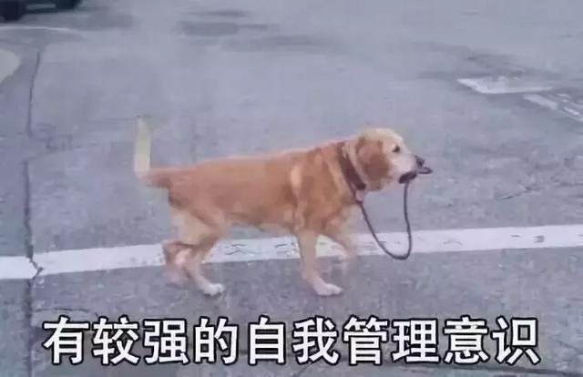 海贼王情侣头像，海贼王情头微信（盘点年度沙雕大集锦）