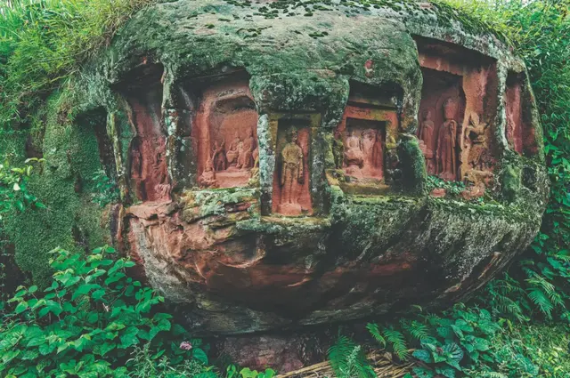 青苔和苔藓的区别图片，青苔怎么养才茂盛（上岸后，就傻傻不再进化的苔藓）