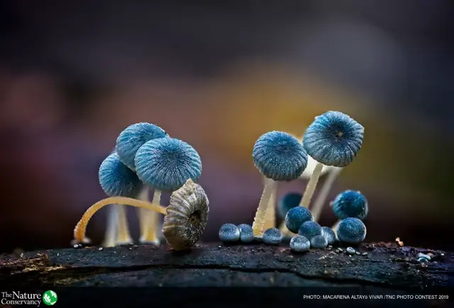 怦然心动美图，怦然心动最新图片（美图 ， 这一瞬间的怦然心动）