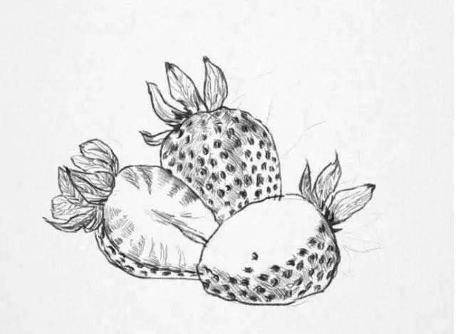 学画画零基础先学什么，零基础素描应该先练什么（零基础绘画教程，值得收藏）