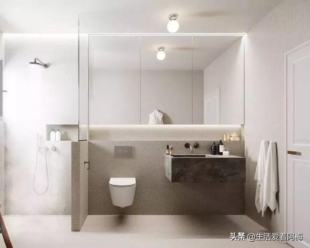 霸王芋，卫生间潮湿、发霉、不通风（霸王芋的养殖方法和注意事项）