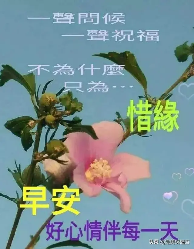 清晨心语唯美诗句，清晨心语优美的语句（给你送去芬芳；寄一粒红豆）