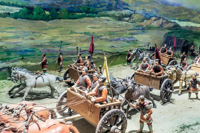 动物马交配，马和人交配（为什么肤色不同的人种）