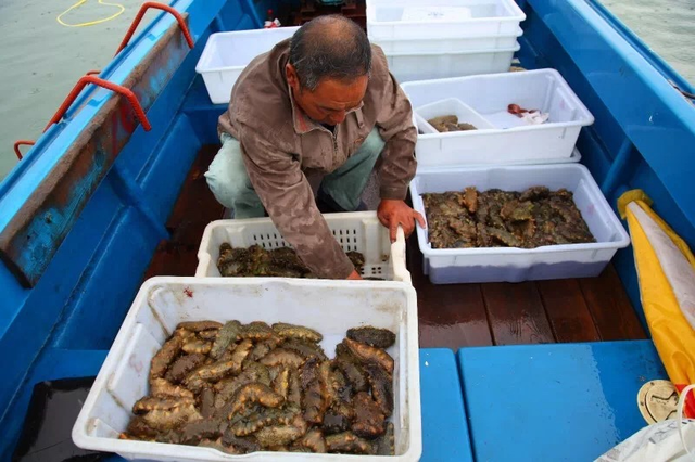 封海是什么意思，还有哪些海鲜可以吃