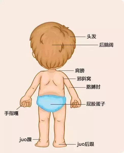 武汉的区号是多少，湖北武汉的固定电话区号是多少（户口在武汉的，请务必看一下）