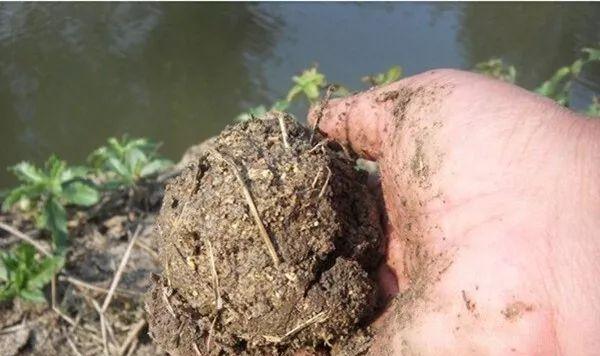 钓鱼秘籍，用什么钓鱼最容易钓到鱼（都是钓鱼老司机才会的不传秘籍）