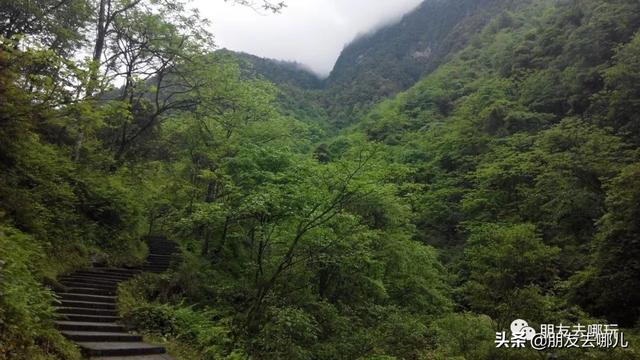 西岭雪山攻略一日游，西岭雪山攻略（成都周边风景绝美适合徒步拉练的好地方）