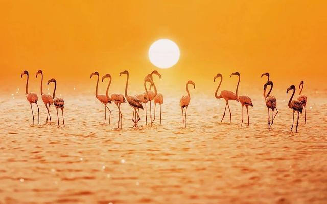 15公斤煤气罐尺寸图，15公斤煤气罐详细尺寸（煤气罐使用的安全知识）