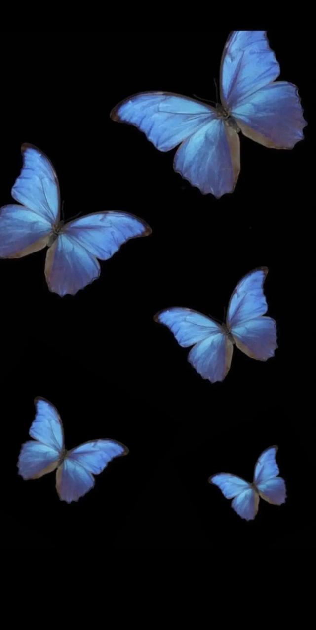 壁纸   人望山，鱼窥荷，人望山鱼窥荷鱼有骨人无心暗示什么（理想主义的少年永远不会被现实招安图片）